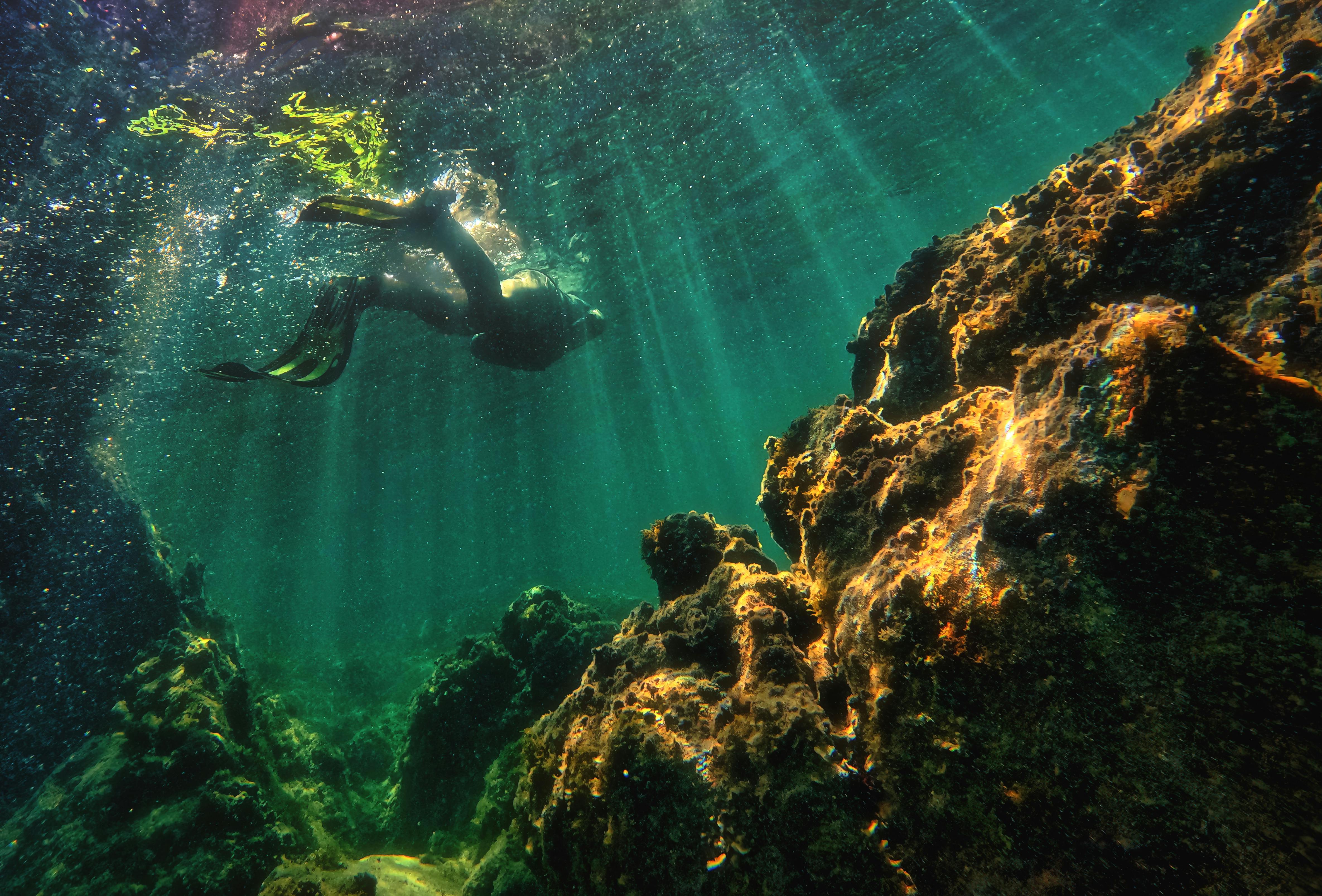 Meyerton Scuba collage image