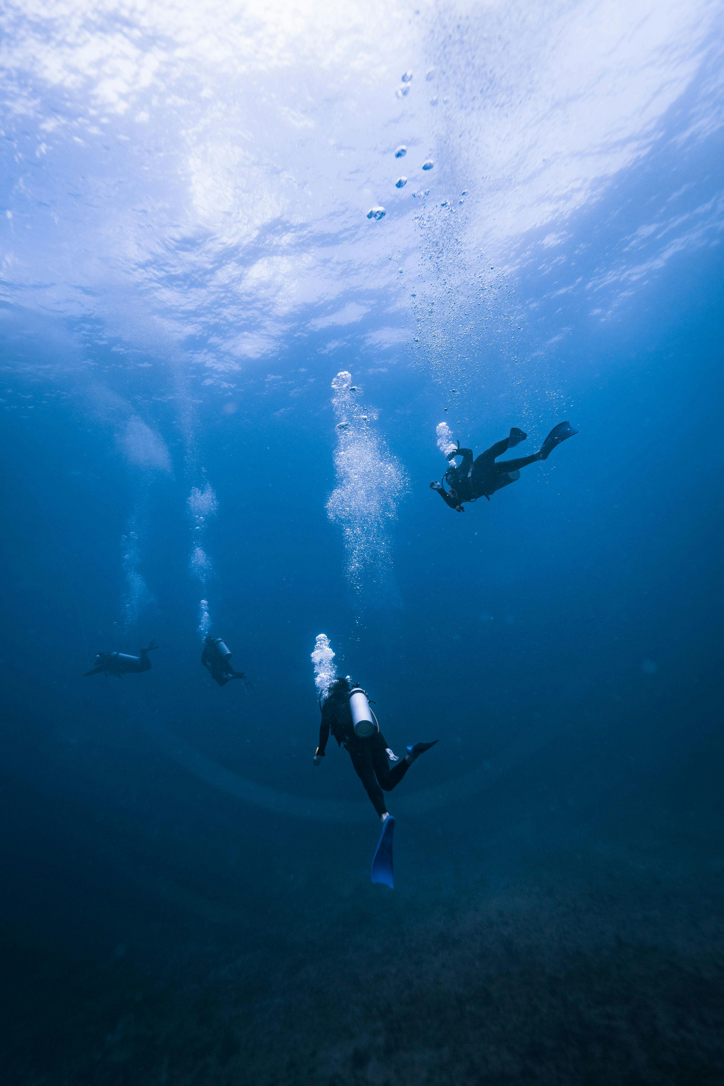 Meyerton Scuba collage image