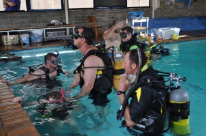 introduction to diving